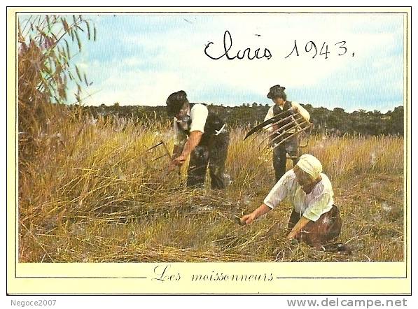 Les Métiers D´Antan: Les  Moissonneuses - Cultures