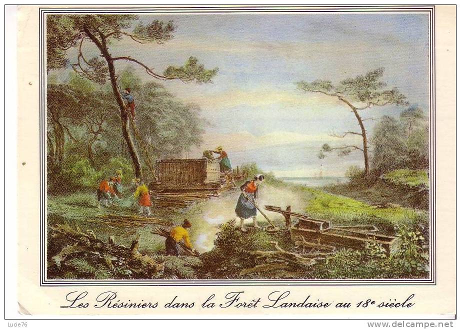 LA LANDE - D´après Gravure De 1800 - Le Travail Des Résiniers Dans La Forêt Landaise - N° 6412 - Aquitaine