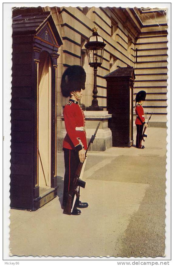 UK--LONDON--1964--Irish Guards On Senty Duty At Buckingham Palace-cpsm Petit Format N°190 TPGC - Buckingham Palace