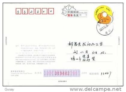 Swan Bird  , Pre-stamped Card , Postal Stationery - Cygnes