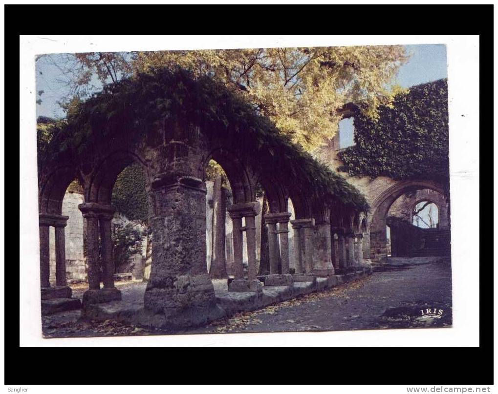 SAINT EMILION N° 29 - LES RUINES DU CLOITRE - Saint-Emilion