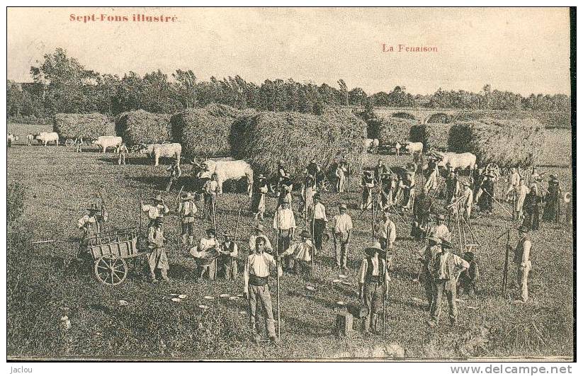 CPA TOP.. LA FENAISON A SEPT-FONS ALLIER .. CPA TOP REF 5353 - Cultivation