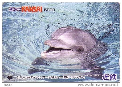 Carte Japon - DAUPHIN Rieur - DOLPHIN Japan Card - DELPHIN Tier Karte - 42 - Delfines