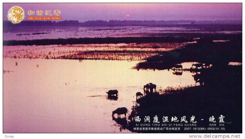 Xidong Ting Wetland Scenery ,ox , Pre-stamped Card , Postal Stationery - Andere & Zonder Classificatie