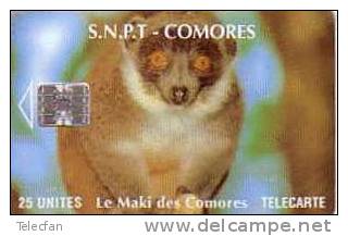 COMORES MAKI SANS N° SERIE RARE - Comoros