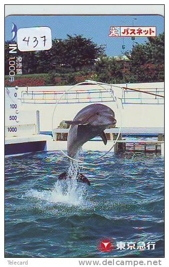 DOLPHIN (437) DAUPHIN DELPHIN Dolfijn WHALE Tier Animal  POISSON - Delfines