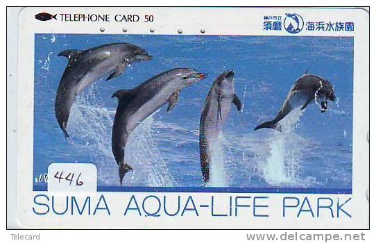 DOLPHIN (446) DAUPHIN DELPHIN Dolfijn WHALE Tier Animal  POISSON - Delfines