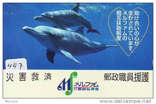 DOLPHIN (447) DAUPHIN DELPHIN Dolfijn WHALE Tier Animal  POISSON - Delfines