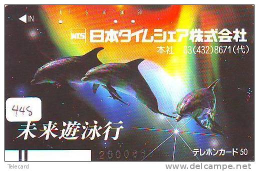 DOLPHIN (448) DAUPHIN DELPHIN Dolfijn WHALE Tier Animal  POISSON - BALKEN - BARCODE - Delfines