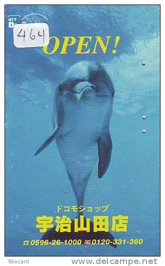 DOLPHIN (464) DAUPHIN DELPHIN Dolfijn WHALE Tier Animal  POISSON - Delfines
