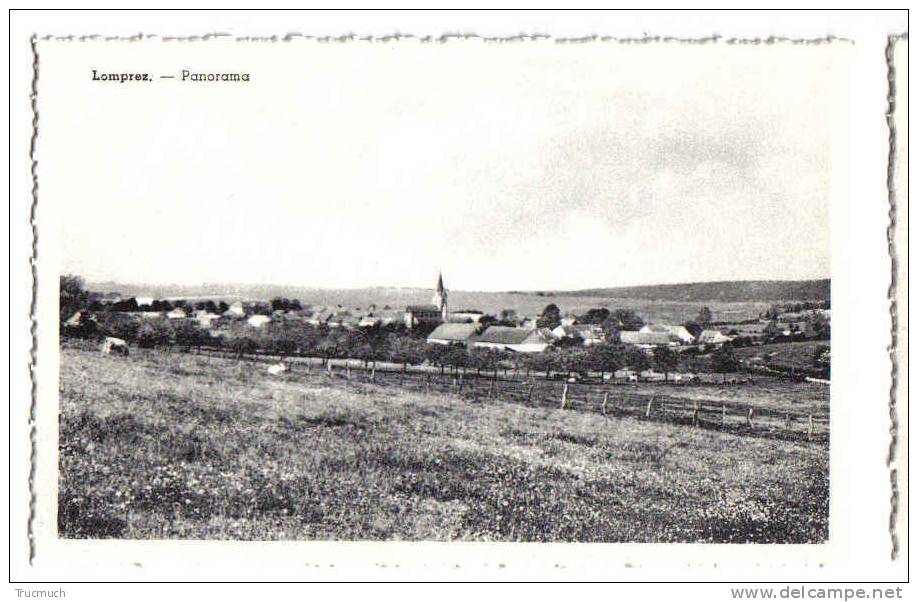 C3935 - LOMPREZ - Panorama - Wellin