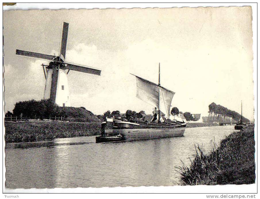 C3810 - DAMME - Le Canal Vers L' Ecluse   *moulin à Vent*bateau* - Damme