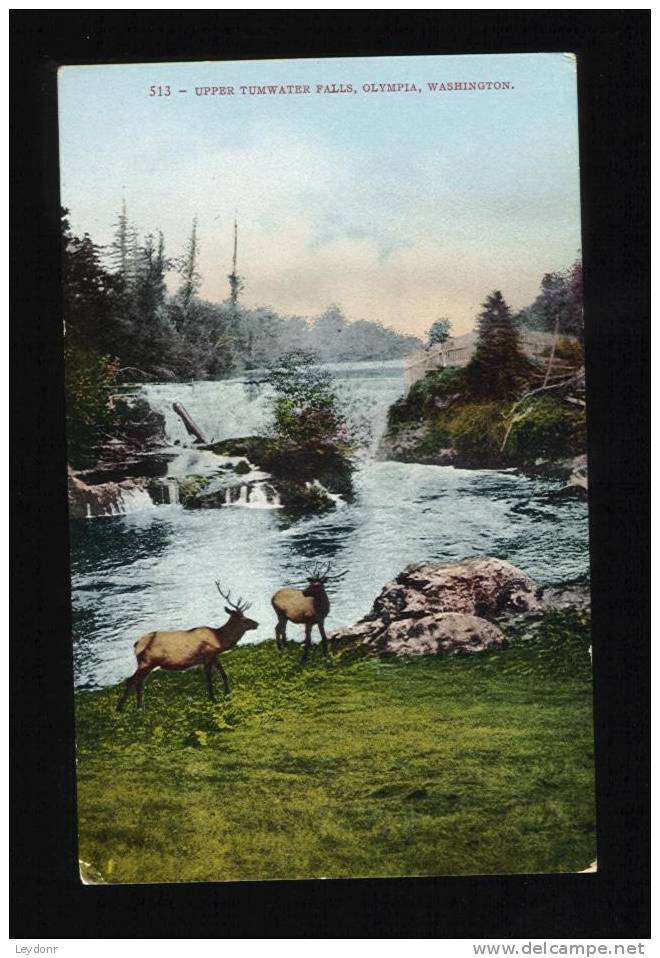 Upper Tumwarter Falls, Olympia, Washington - Sonstige & Ohne Zuordnung