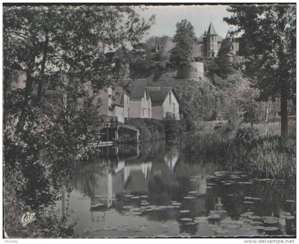 CP Bressuire (Deux Sèvres) - Les Bords Du Dolo Et Le Chateau - Bressuire