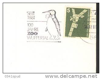 1981 Allemagne Wuppertal   Pingouin Penguin Pinguino - Pingouins & Manchots