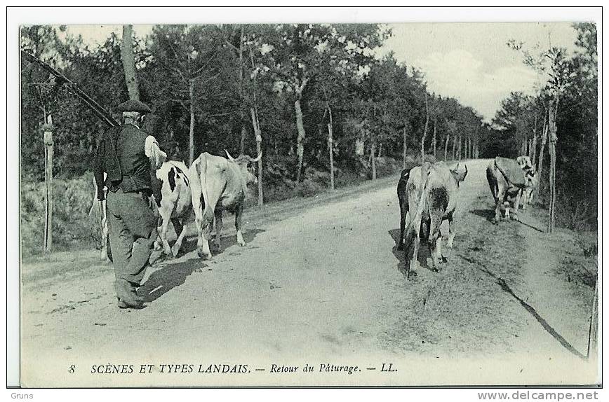 Scenes Et Types Landais : Retour Du Paturage - Viehzucht