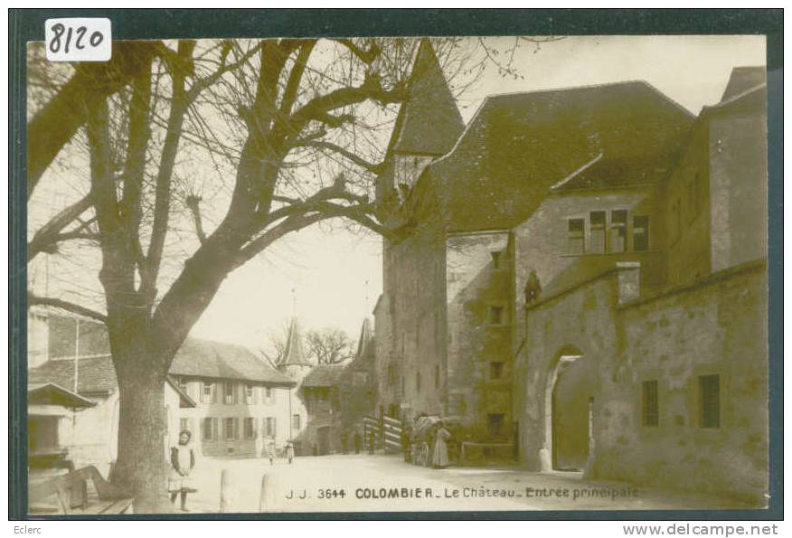 COLOMBIER - LE CHATEAU  - TB - Colombier