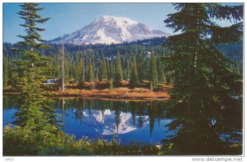 Mount Rainier - Parques Nacionales USA
