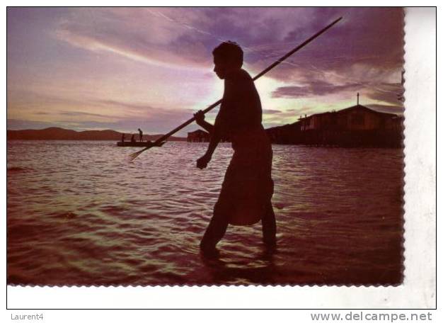 Papua New Guinea Island Postcard - Carte Postale Des Iles De Papaousie - Papua-Neuguinea