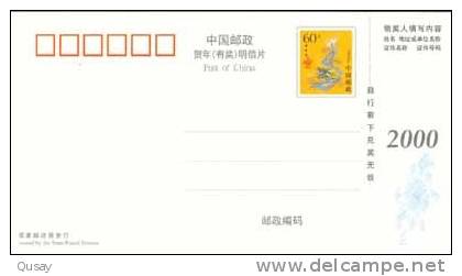 Tiger ,   Pre-stamped Card , Postal Stationery - Rhinozerosse