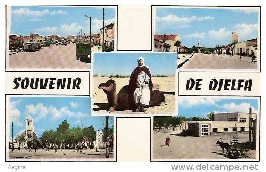 ALGERIE- Ref No 863- Souvenir De Djelfa - Carte Multivues - Bon Etat - Djelfa