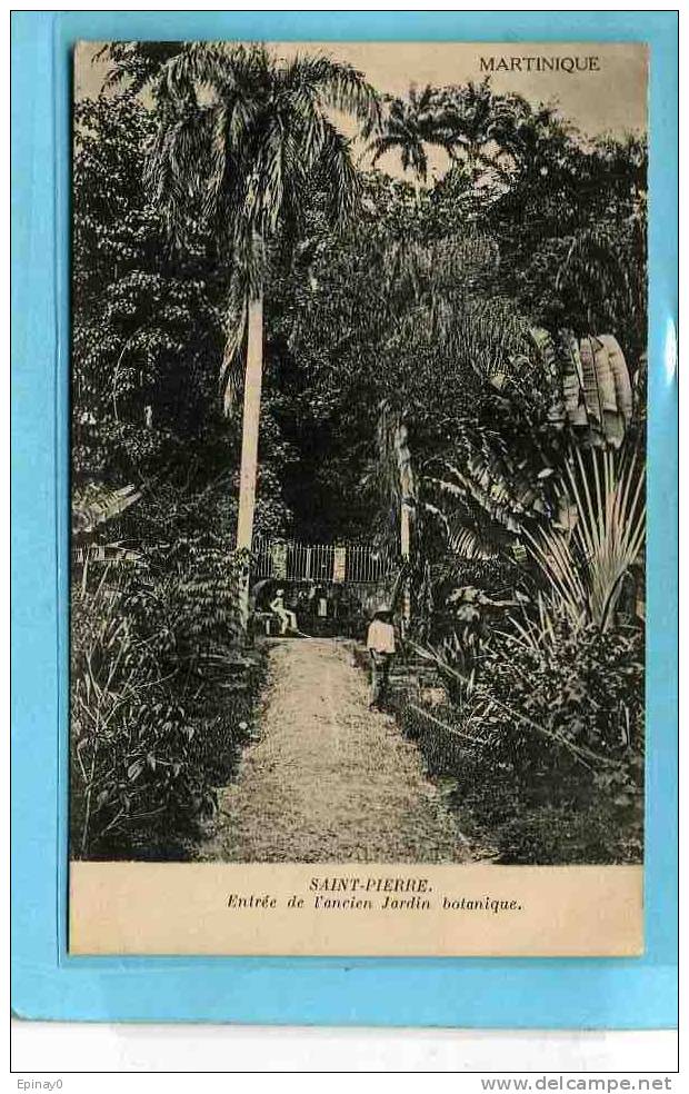 B - 972 - LA MARTINIQUE - FORT De FRANCE - Entrée De L'ancien Botanique - Fort De France