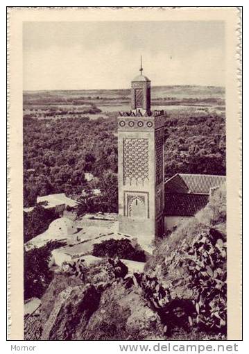 AFRIQUE ALGERIE TLEMCEN Minaret De Sidi Haloui - Tlemcen