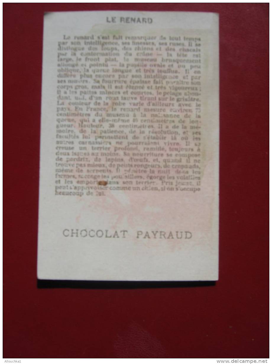 IMAGE & CHROMOS DECOUPIS CERTAINS ENTRE 1890 &  APRES 1900 EN RELIEF LE RENARD  CHOCOLAT PAYRAUD - Animals