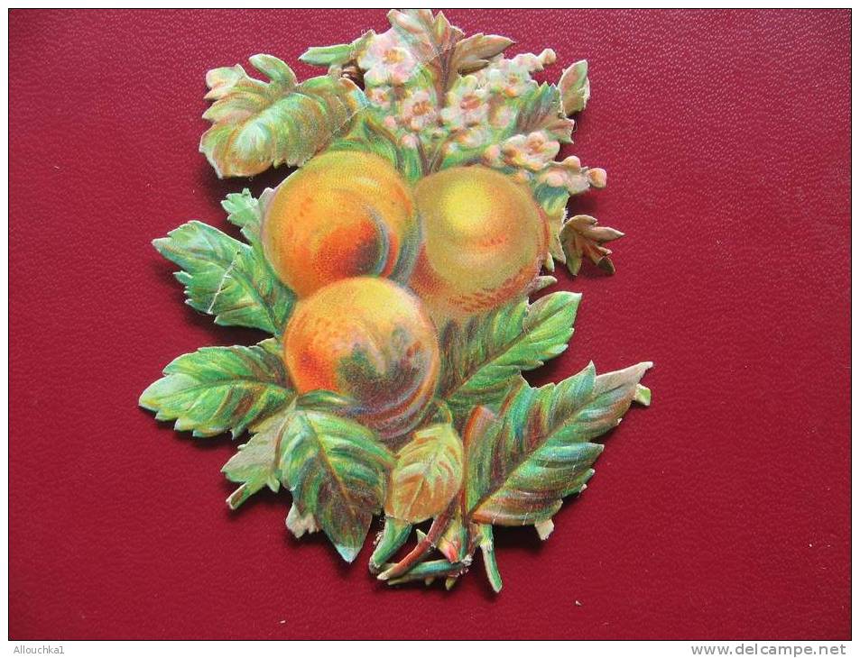 IMAGE & CHROMOS DECOUPIS CERTAINS ENTRE 1890 &  APRES 1900 EN RELIEF / FRUITS /FLEURS - Blumen