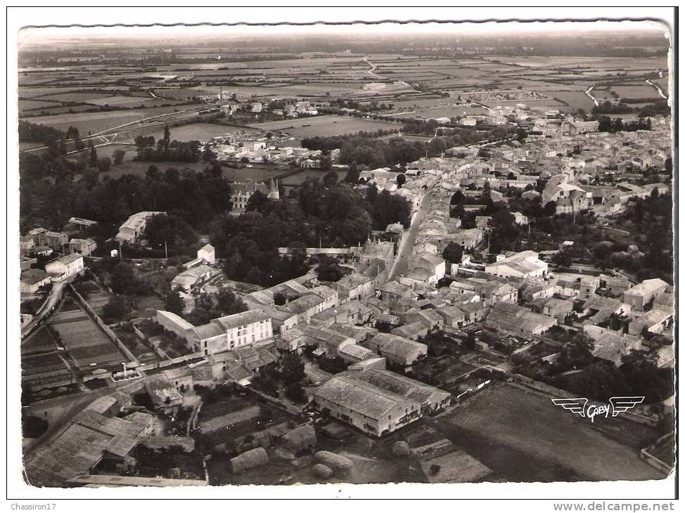 79 - MAUZE-sur-le-MIGNON -  Vue D´ensemble  CPSM  Grand Format - Mauze Sur Le Mignon