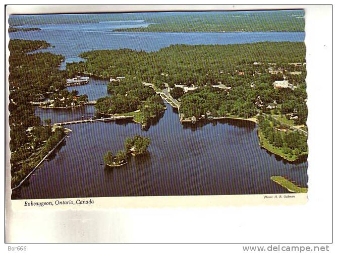 GOOD CANADA POSTCARD - Bobcaygeon - Autres & Non Classés