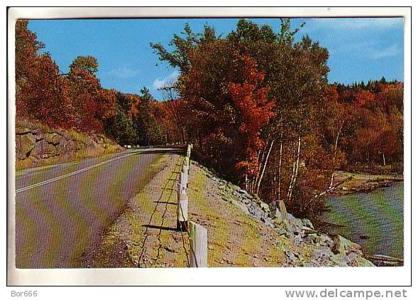 GOOD CANADA POSTCARD - Minden - Scenic Highway 35 - Autres & Non Classés