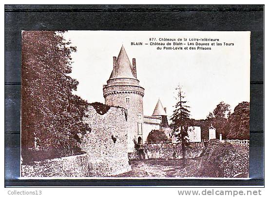 LOIRE ATLANTIQUE - Blain - Les Douves Et Les Tours Du Pont Levis Et Des Prisons - Blain