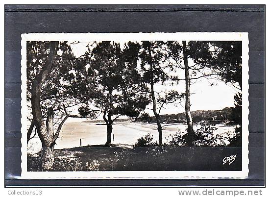 LOIRE ATLANTIQUE - Saint Brévin L'Océan - Vue D'ensemble De La Plage Sous Les Pins - Saint-Brevin-l'Océan