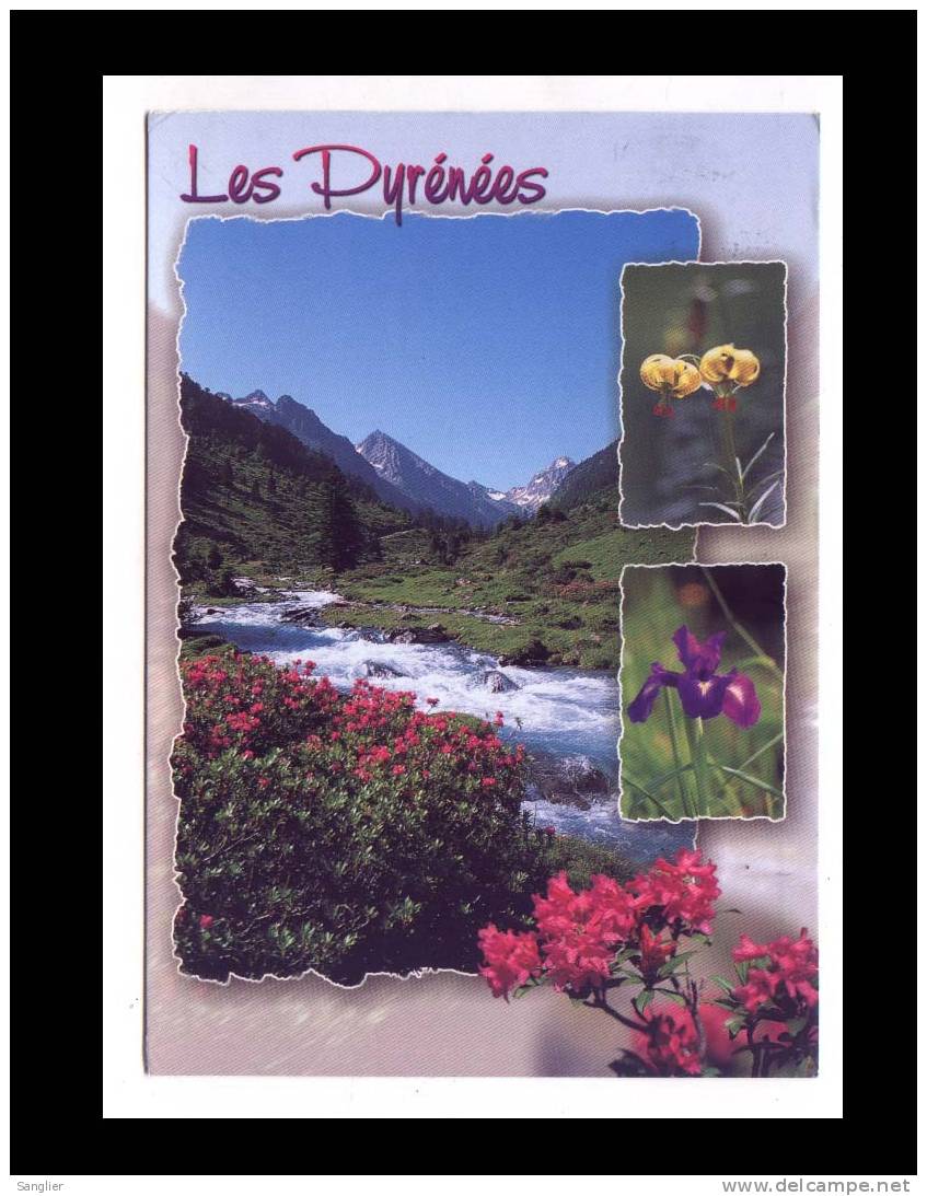 LES PYRENEES N° 2633 - Midi-Pyrénées