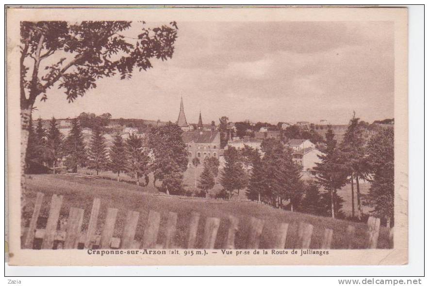 43.024/ CRAPONNE SUR ARZON - Vue Prise De La Route De Jullianges - Craponne Sur Arzon