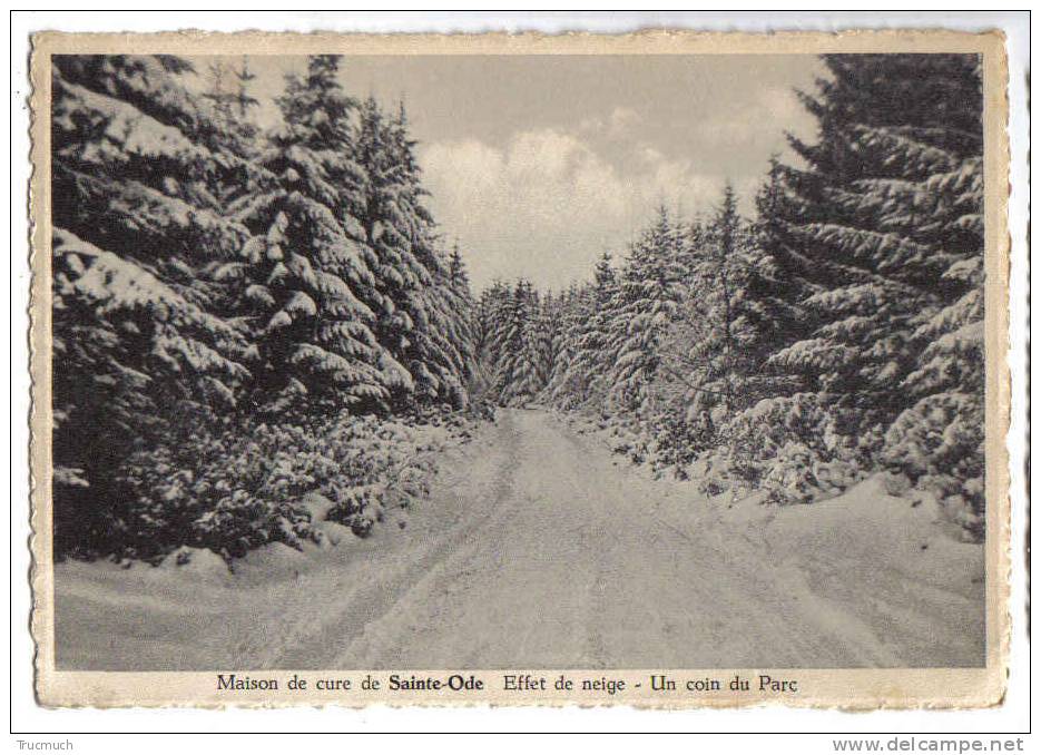 C3813 - Maison De Cure De Sainte-Ode - Effet De Neige - Un Coin Du Parc - Sainte-Ode