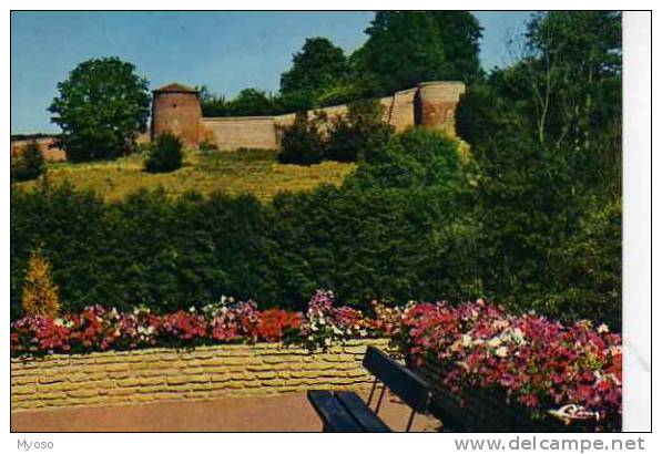 01 CHATILLON SUR CHALARONNE Ville Fleurie Les Remparts - Châtillon-sur-Chalaronne