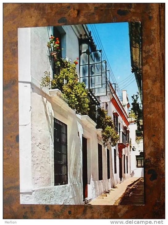 Córdoba  - Espana -Spain   -   VF   D17279 - Córdoba