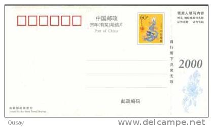 Seagull  Bird  ,pre-stamped Card , Postal Stationery - Gabbiani