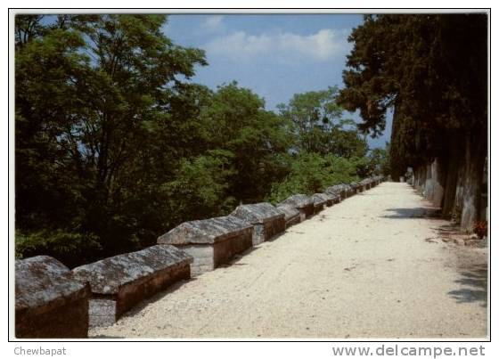 Mazan - Les Sarcophages Romains    -   89-88 - Mazan