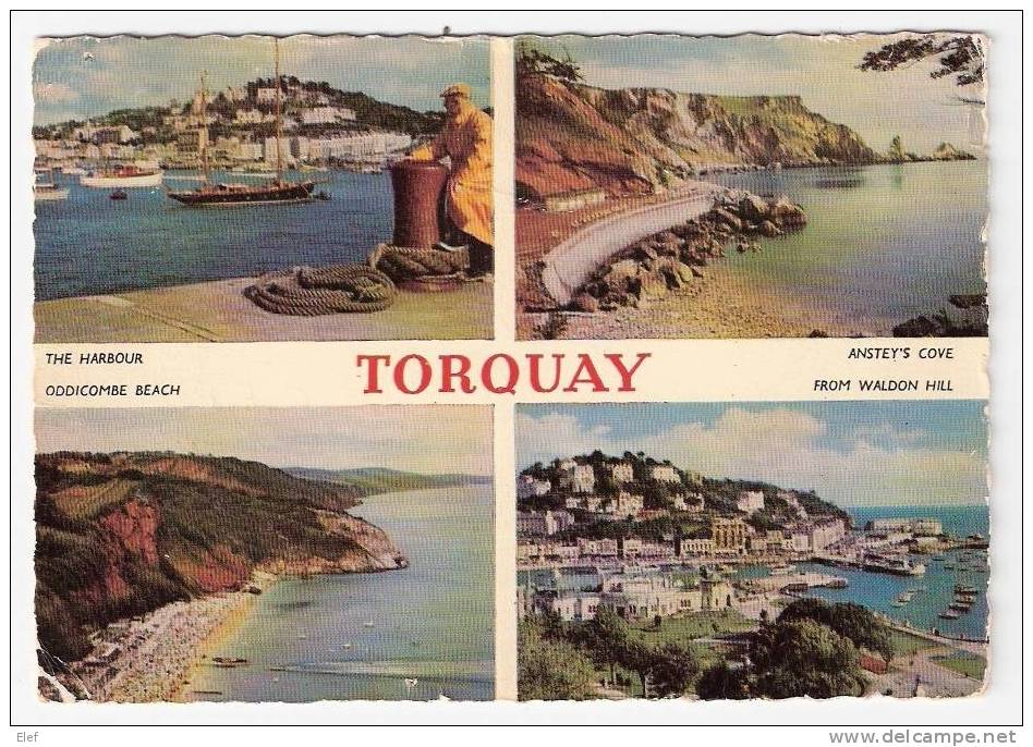 TORQUAY (Devon) The Harbour, Anstey's Cove, Oddicombe Beach, From Waldon Hill ; 1960 ; B/TB - Torquay