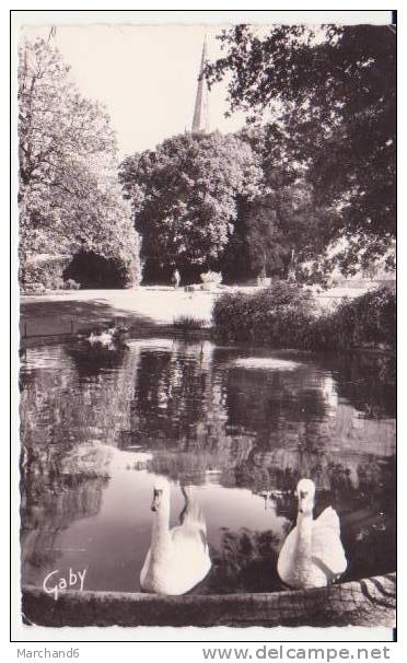 FONTENAY LE COMTE . LE JARDIN PUBLIC LES CYGNES - Fontenay Le Comte