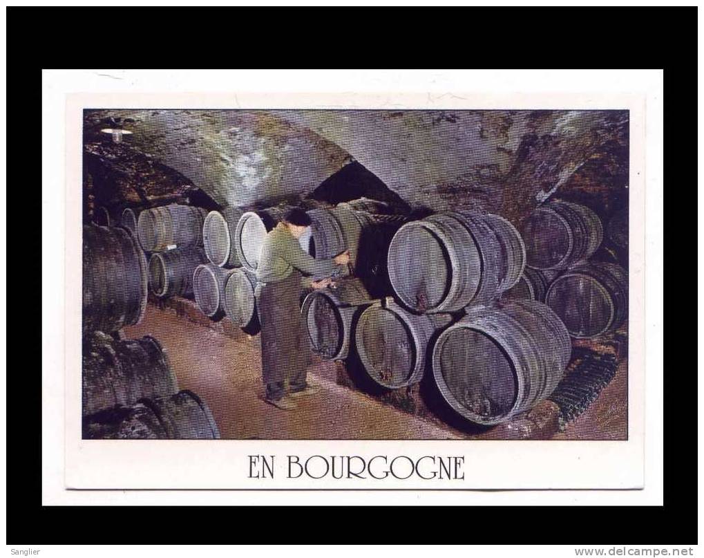 UNE CAVE EN BOURGOGNE N° 20521 W - Bourgogne