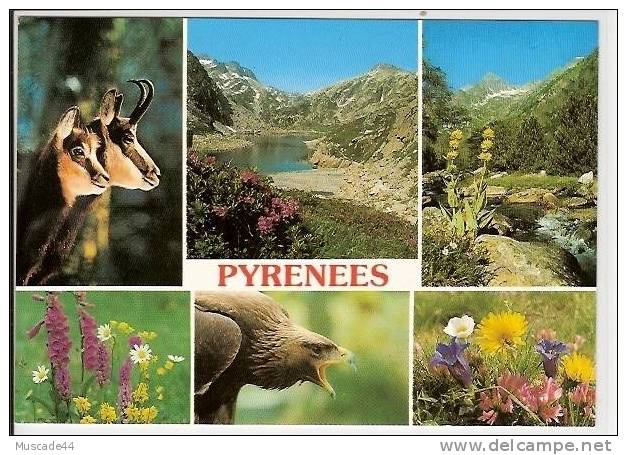LES PYRENEES - MULTI VUES - Midi-Pyrénées