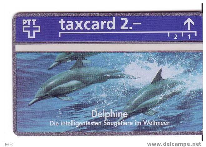 DOLPHIN ( Switzerland MINT And RARE Card ) Dauphin - Delphin - Delfin – Delphine – Delfino– Dauphins - Dolphins - Suisse - Delfines