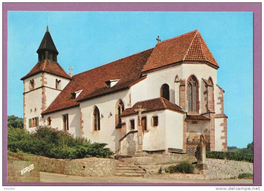 DAMBACH LA VILLE - La Chapelle St-Sébastien (12ème Et 13ème Siècles). Non Circulé. 2 Scans - Dambach-la-ville