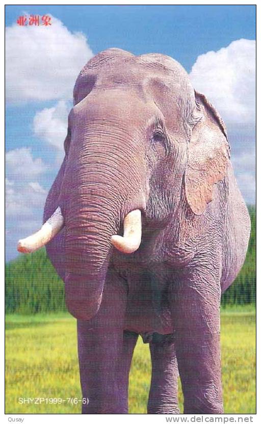 Elephant  ,   Pre-stamped Card , Postal Stationery - Elefanten