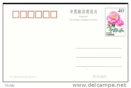 Monkey   ,   Pre-stamped Card , Postal Stationery - Apen