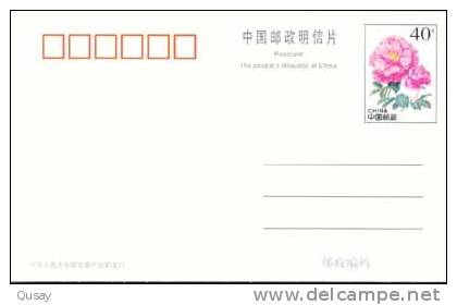 Tiger   ,   Pre-stamped Card , Postal Stationery - Rhinoceros